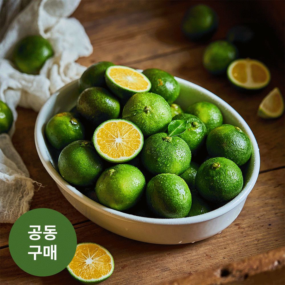[단4일만] 제주직송! 잔류농약 걱정없는 서귀포 26년 햇 청귤/풋귤