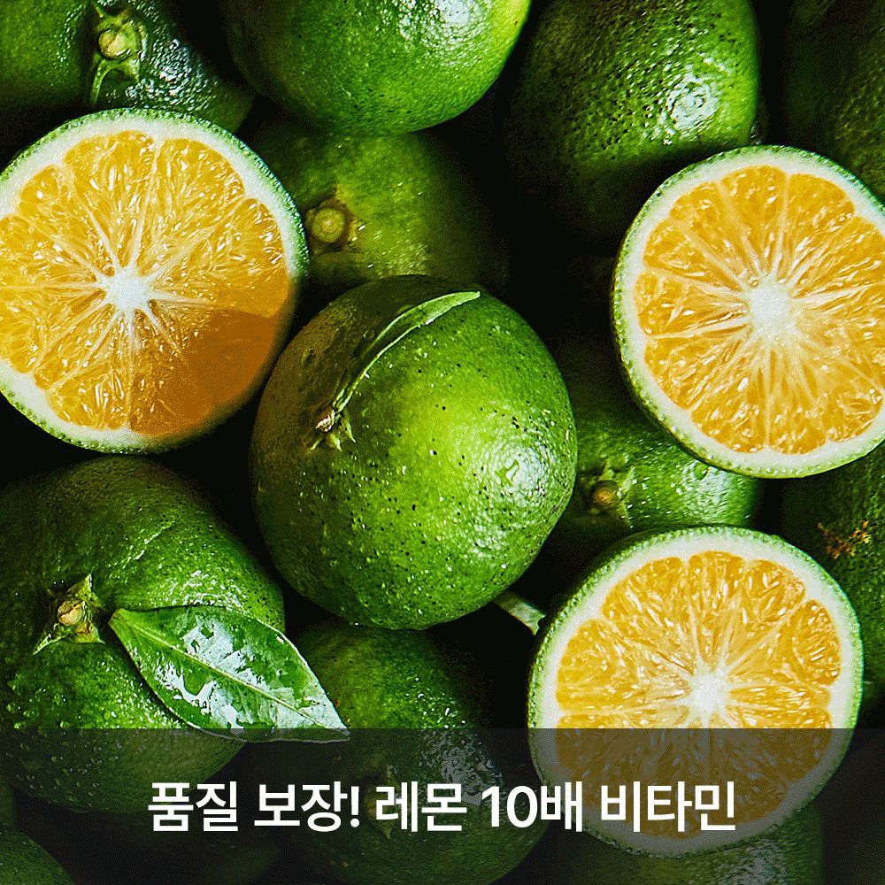 [단4일만] 제주직송! 잔류농약 걱정없는 서귀포 26년 햇 청귤/풋귤
