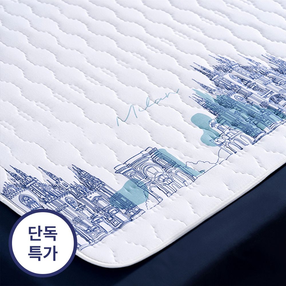 [공동구매] 물세탁 가능한 이메텍 이탈리아 프리미엄 순면 전기요 / 전기담요