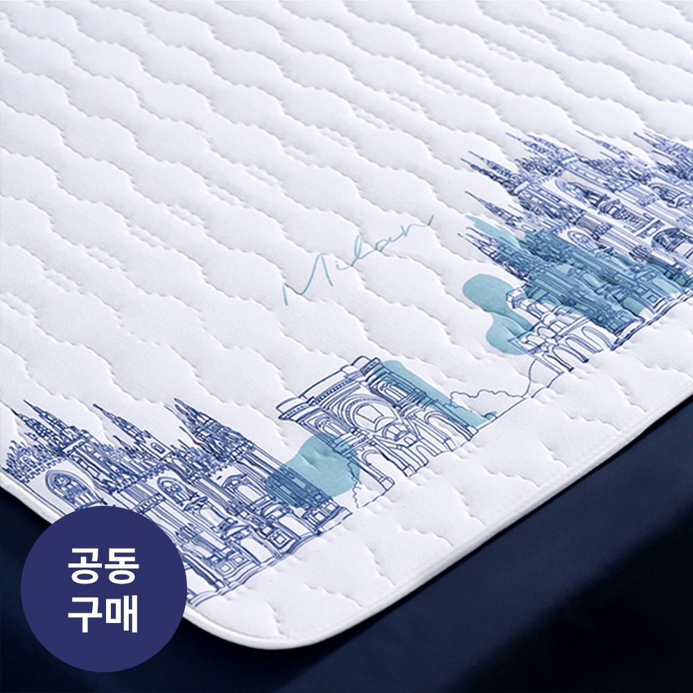 [공동구매] 물세탁 가능한 이메텍 이탈리아 프리미엄 순면 전기요 / 전기담요