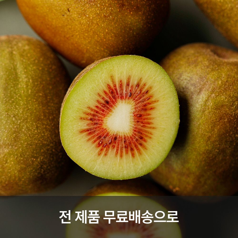 [제주직송] 올해 첫 수확! 제주농가 직거래로 선별한 '홍다래(레드키위)' 3/5/10kg