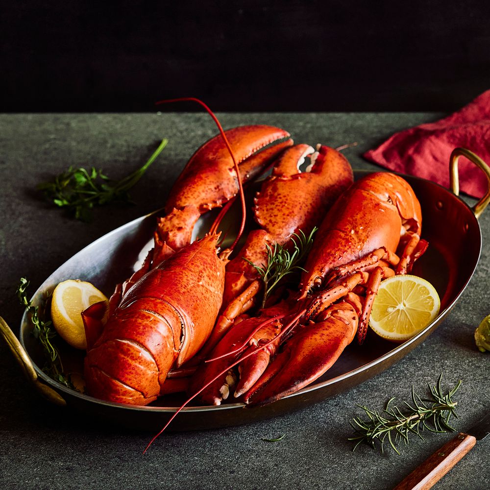 [명절특가] 초대형 랍스터가 39,900원! '더 씨킹' 통통 캐나다 킹 랍스터(800g~1kg)