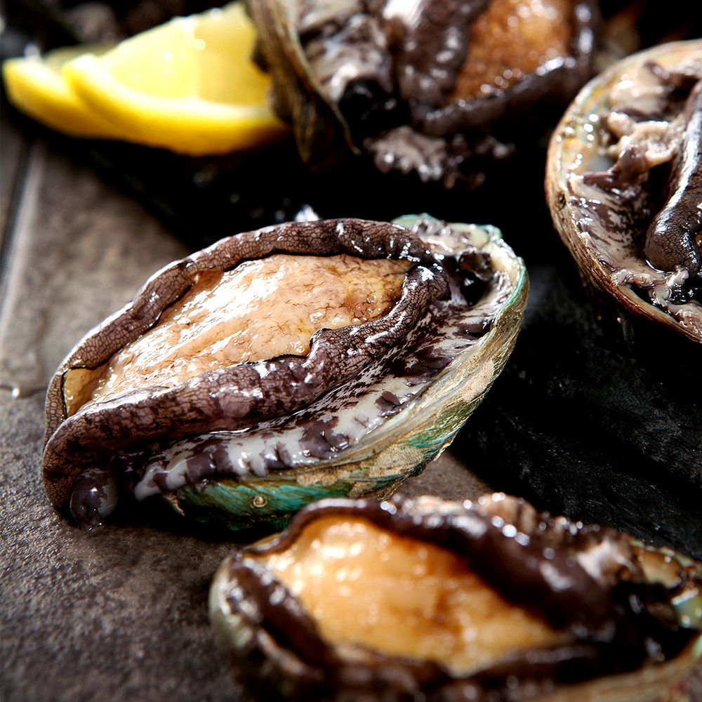 ★초대형왕특대추가★산지직송 완도 활전복 대/특대/특특대 + 세척솔 증정