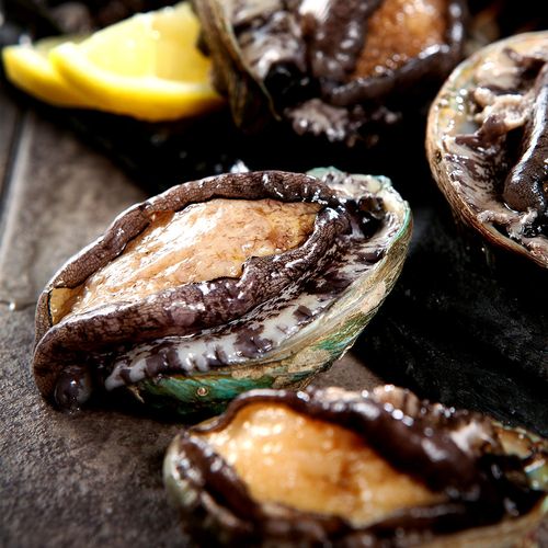 ★초대형왕특대추가★산지직송 완도 활전복 대/특대/특특대 + 세척솔 증정