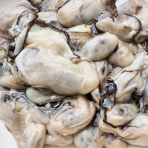 입안가득 퍼지는 바다향 국내산 통영 굴