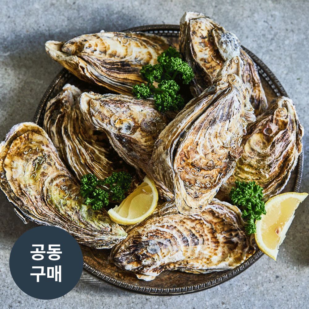 [공동구매] 녹진함 그 자체! 당일바리 대왕석화, '삼배체굴'(3/6/9kg)