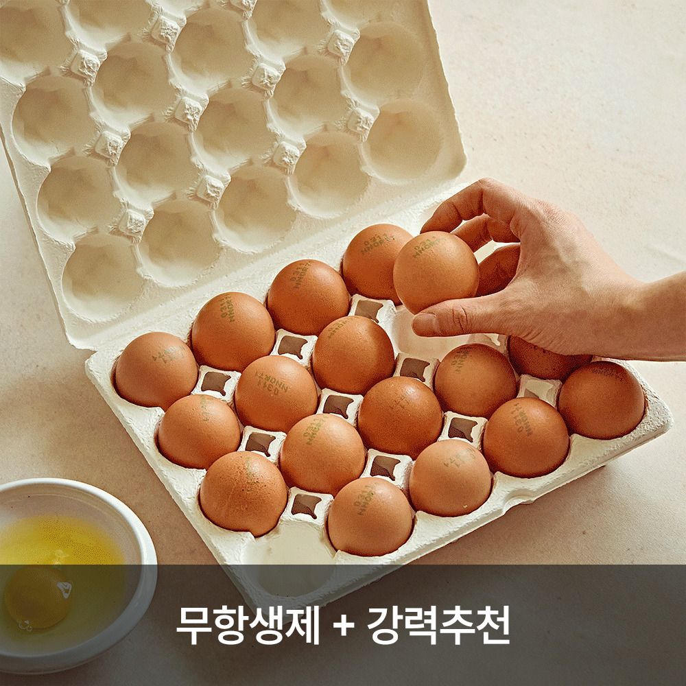 [알뜰한특가] 무항생제 난각번호 1번 유정란 특란 20구