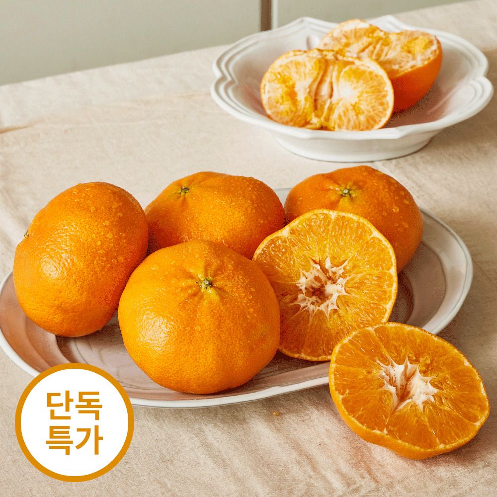 [제주직송] 청정 애월에서 자란 달콤한 제주 ‘고당도 레드향’ 2.5kg (혼합과/가정용)