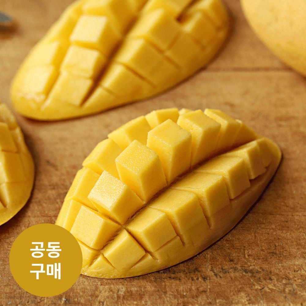 [항공직송] 2026 첫 출고분! 당도보장 항공직송 ‘햇 남독마이 골드망고’ (2.5kg/5kg)