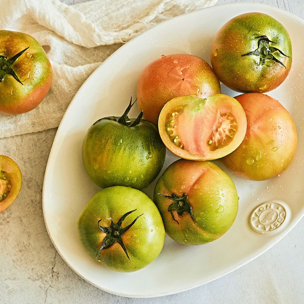 [산지직송] 26년 첫 출하! 부산 대저동에서 온 진짜 짭짤이! 특품 '대저토마토'(2.5kg)