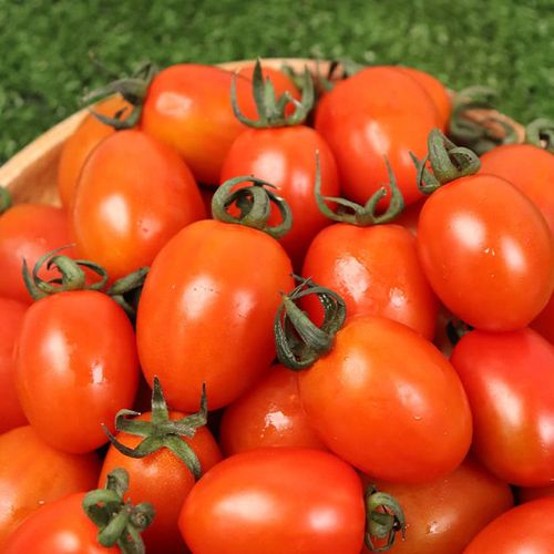 달콤MAX 스테비아 방울토마토 500g 2팩