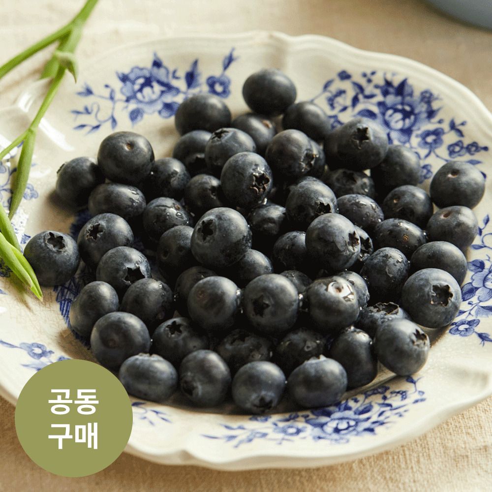 [2차앵콜] 제주직송! 최대 20mm 제주 무농약 특품 '햇 블루베리' (300g~)
