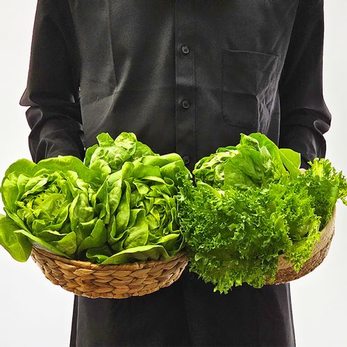 (2025) GAP인증 신선한 유러피안 샐러드 대용량 1kg/2kg (3종랜덤)