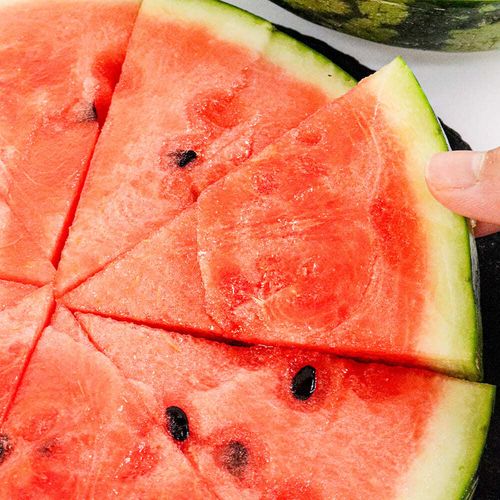 꽉찬 단맛 시원한 하우스 가정용 꿀수박