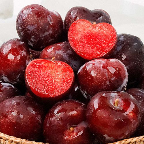 희귀신품종 고당도 프리미엄 체리자두 1kg 2kg 3kg