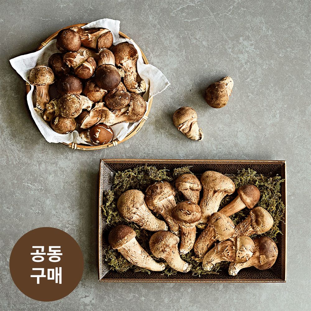 [공동구매] 산지직송! 표고와 송이의 매력을 한 번에! 무농약 ‘참송이버섯’ (1kg)