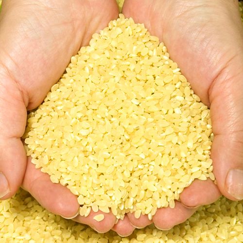 100% 국내산 고품질 백미속 영양만점 상황버섯쌀 1kg/2kg