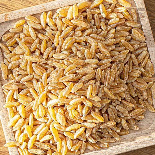 영양만점 고소한 호라산밀 카무트 1kg 3kg