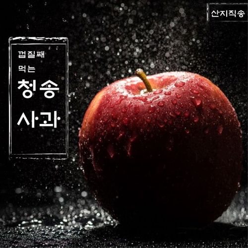 당도보장 ! 청송 주왕산 사과 1.8kg (옵션선택)