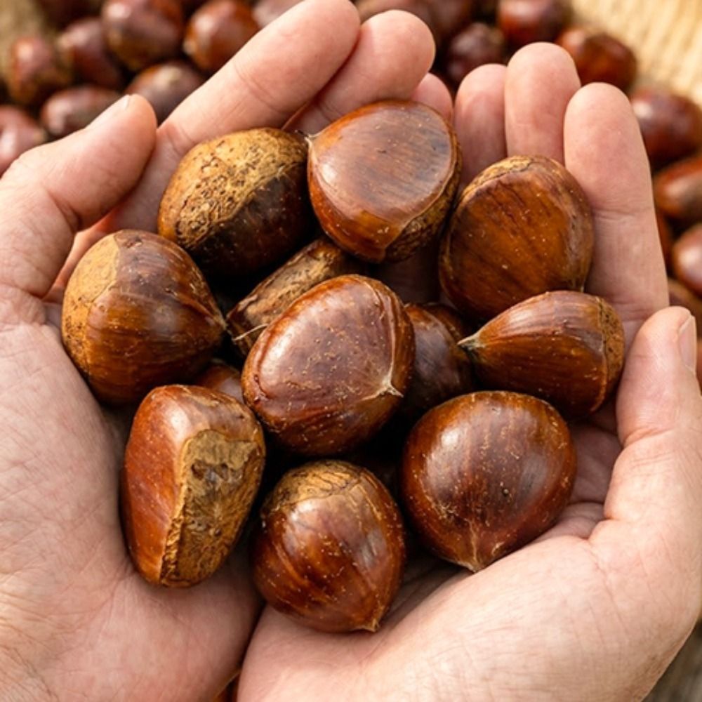 포슬포슬하고 달콤한 충주 이평밤 500g 1.5kg