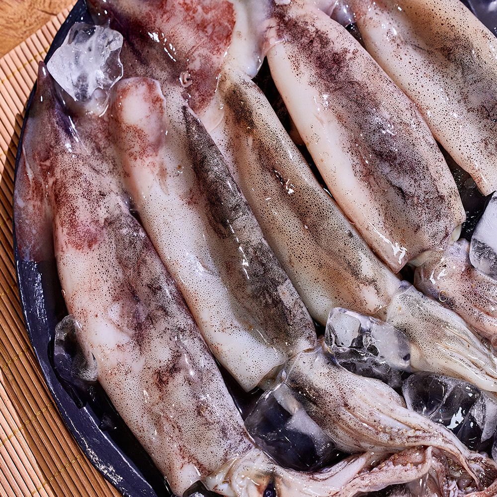 국내산 신선 급냉 선동 오징어 1kg~3kg [FD]