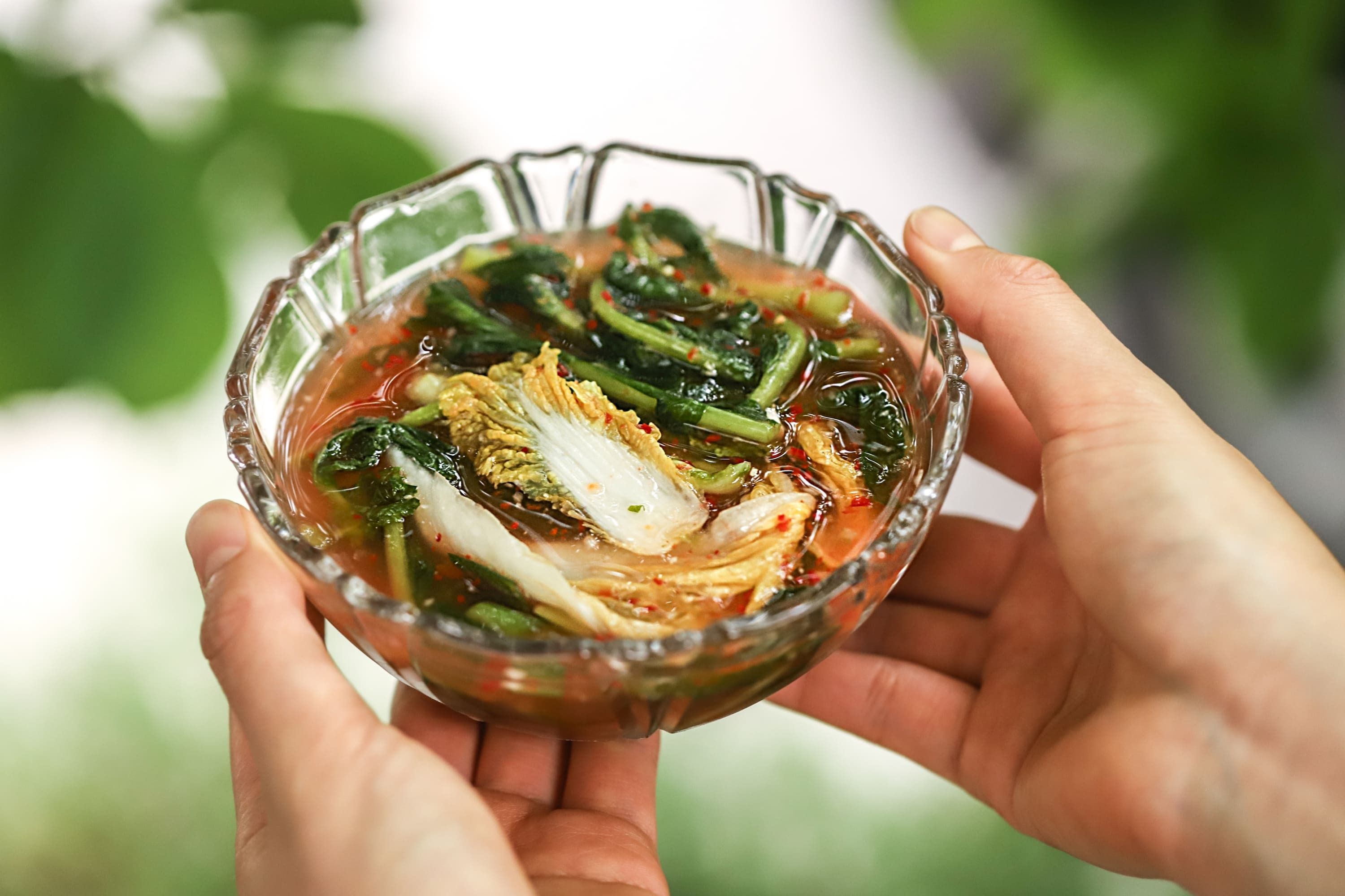 열무김치/오이소박이 1kg (옵션선택)