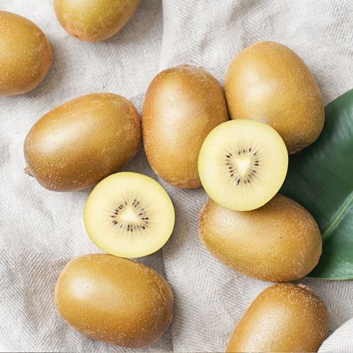 국내산 정품 해금 황금키위 2kg (소과~특대과)