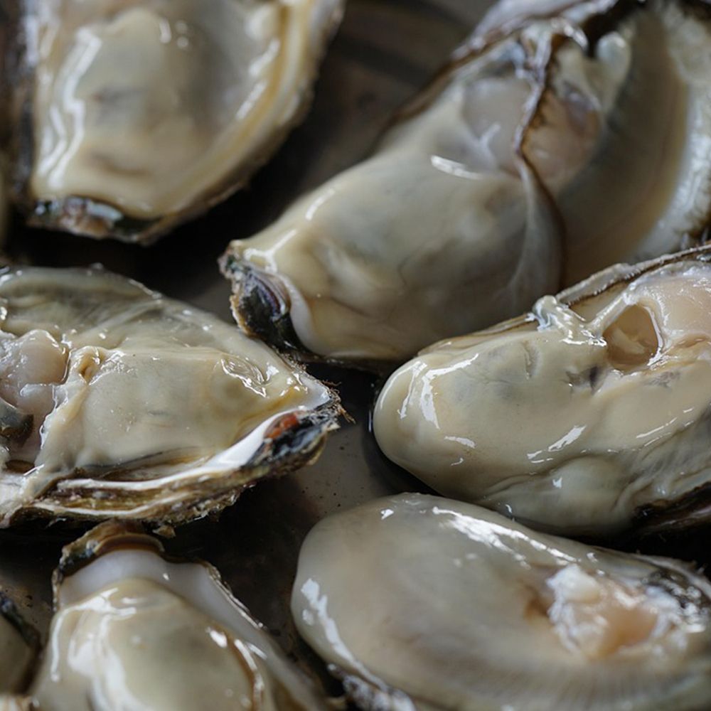 [신선수산] 통영 손질 생굴 1kg~5kg [P]