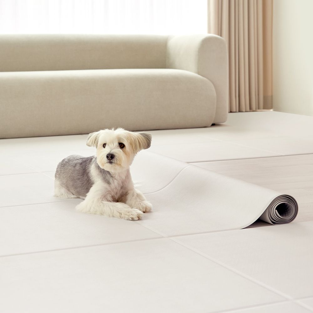 [텍미홈] 라운 펫 롤 매트 강아지매트 슬개골 예방 미끄럼방지 애견 롤매트
