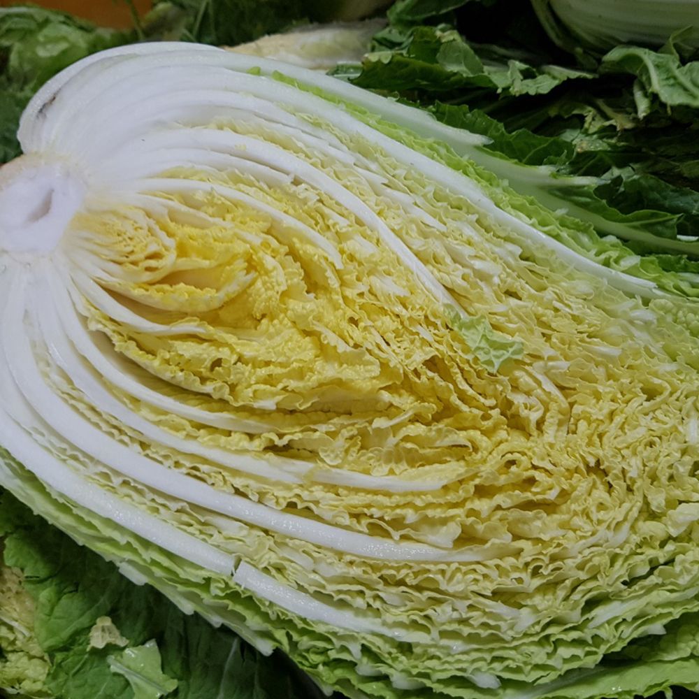 [희망수령일기재필수] [해남] 우리네김치 국내산 절임배추 10kg/20kg