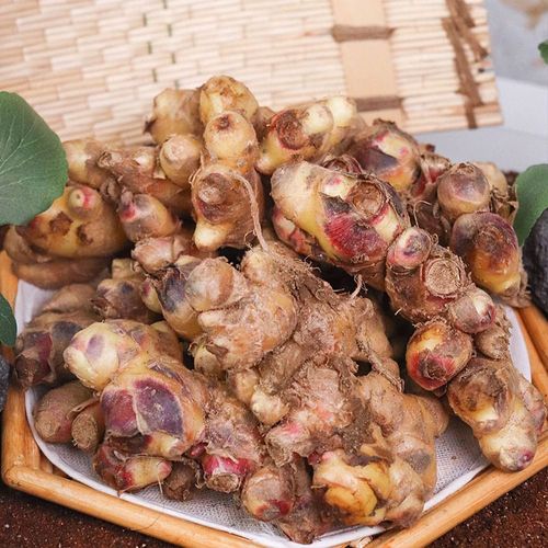 향긋하고 알싸한 영주 흙생강 (알뜰/정품) 1kg 2kg