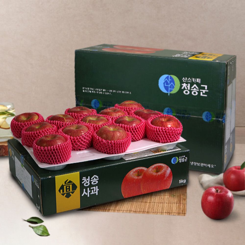 [산소카페] 산지직송 청송 꿀사과(정품) 5kg/13과내/왕특