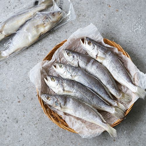 대서양조기(대) 820g