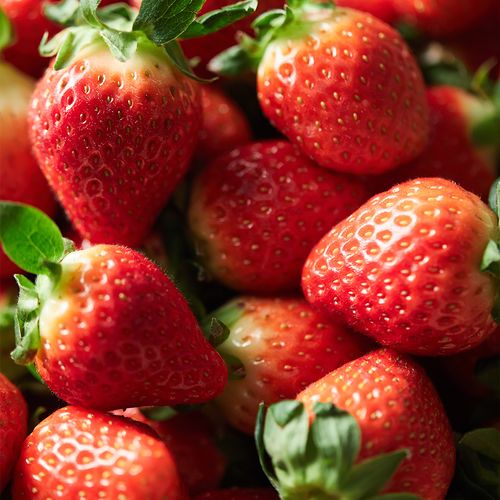 (2025) 새벽수확 달콤한 논산 설향 딸기 350/700g