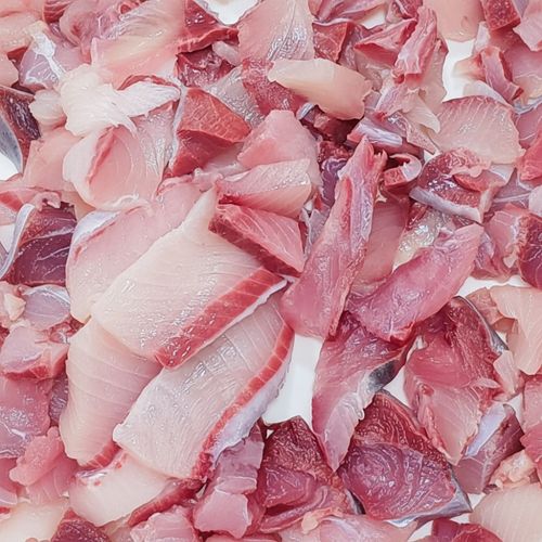 100% 국내산 통영 방어 필렛 500g + 삼둥이초장 증정