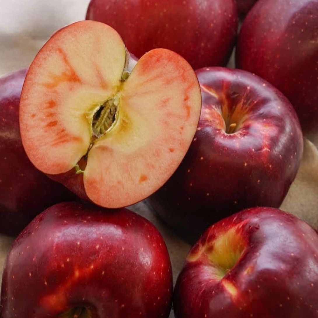 [영주직송 햇사과] 복숭아 향이 나는 새콤달콤 ‘피치애플 엔부사과’ 1kg (4~6입)