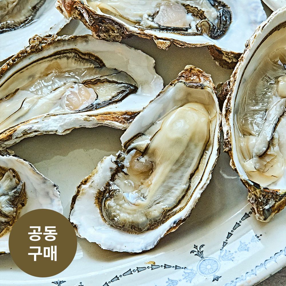 [고흥직송] 성적서 검증완료! 갯벌에서 자라 고소하고 달큰한 고흥석화, 생굴(10kg/1kg)