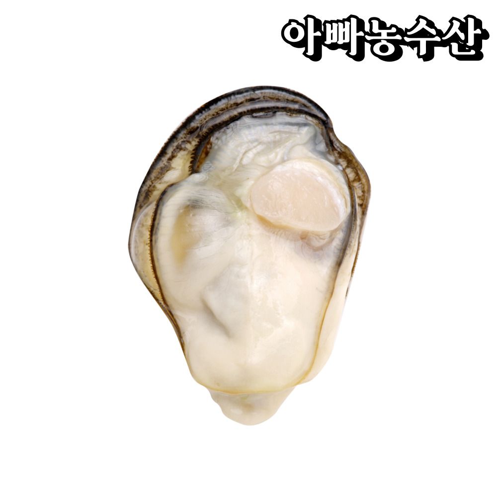 어장직송 맛있는 바다를 품은 생굴