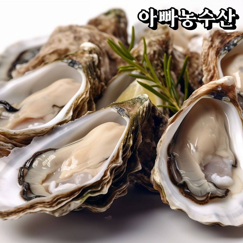 어장직송 다까놓아 먹기 편한 하프쉘 석화