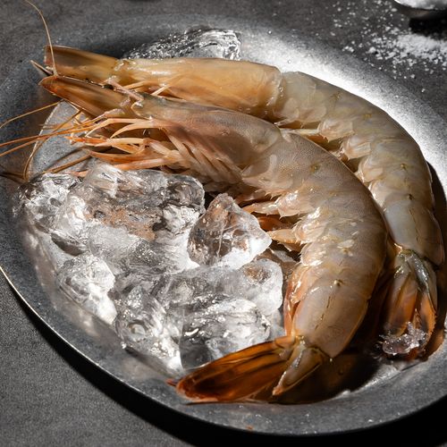 자연산 왕특대 대하 300g (4~5미) x 3팩 (총900g)