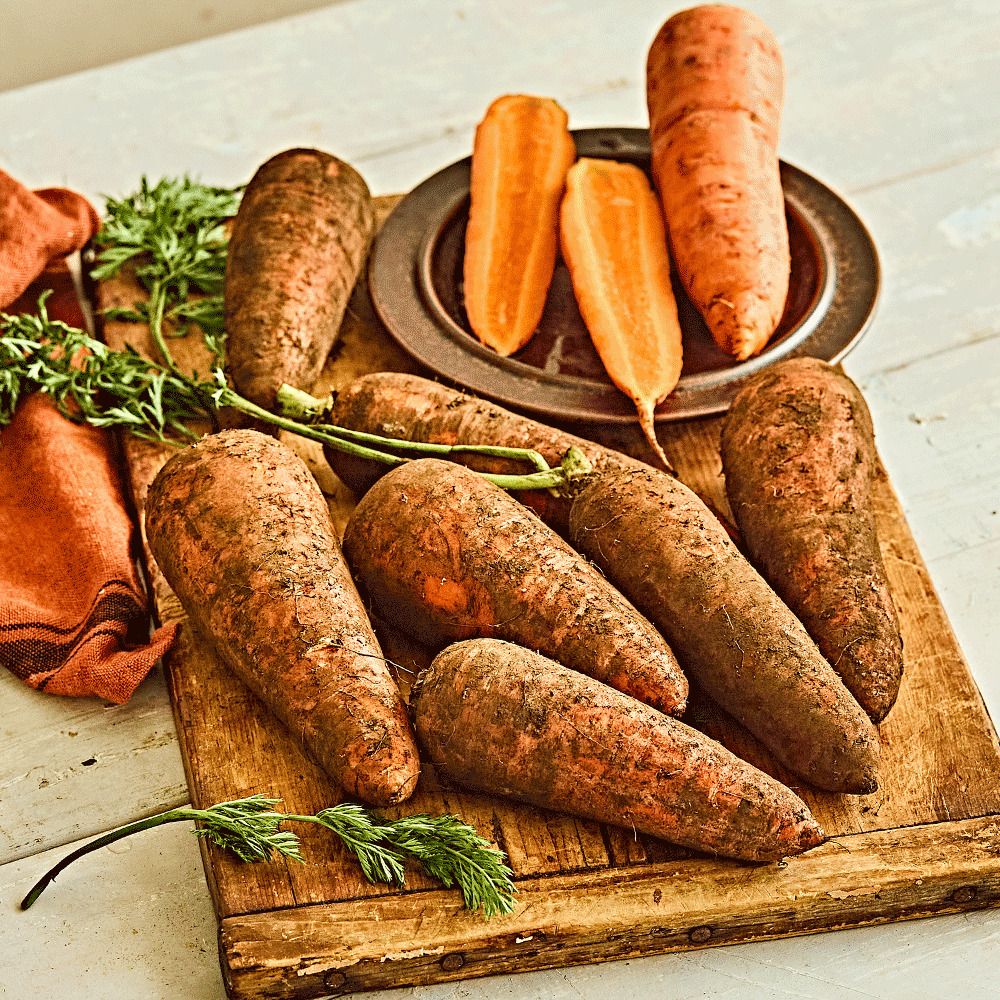 [품질보장★] 제주 유기농 당근 친환경 구좌 유기농 햇 흙당근 3kg 5kg 