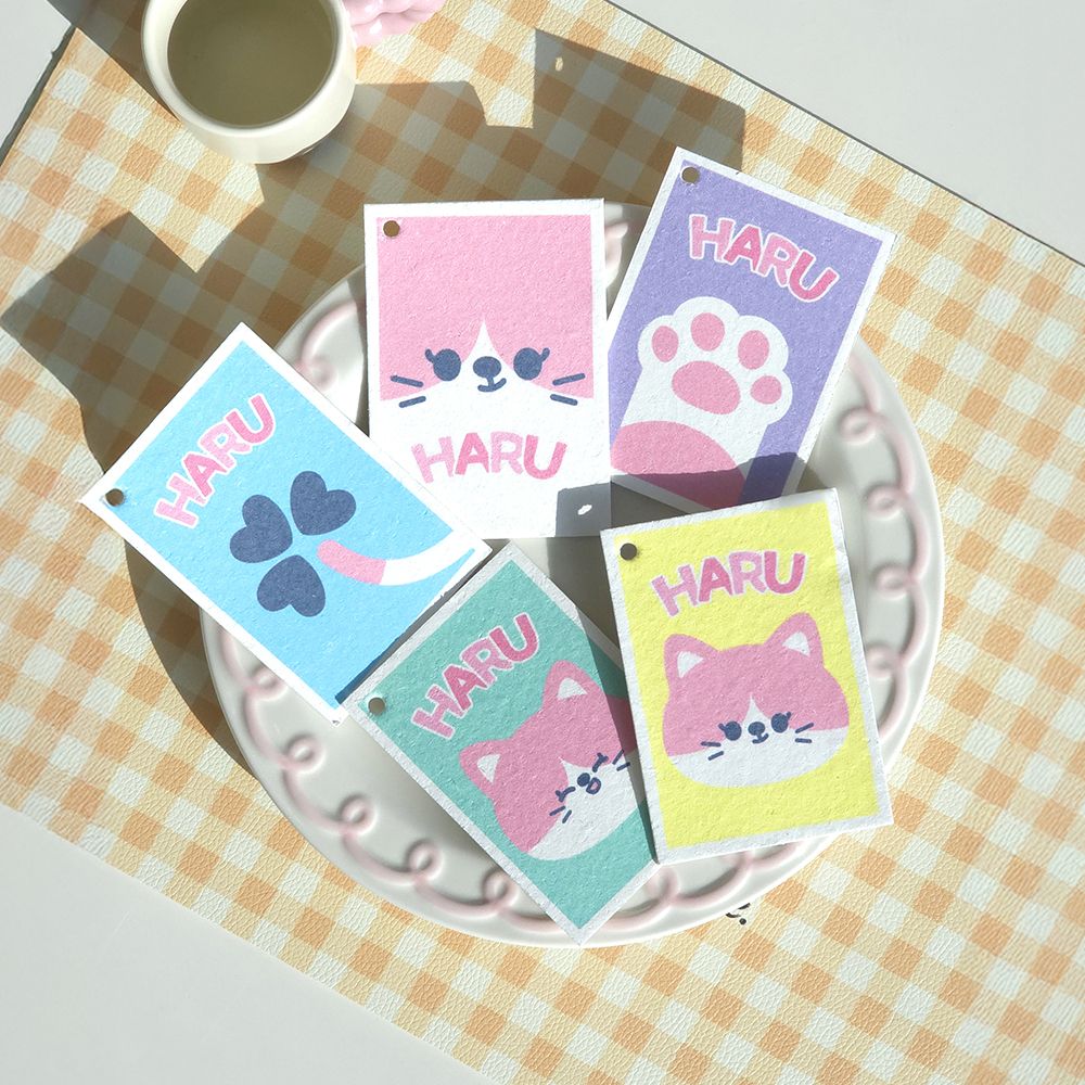 [죠르노펠리체] 셀룰로오스 스펀지 하루 5P 세트 /수세미/목욕/청소