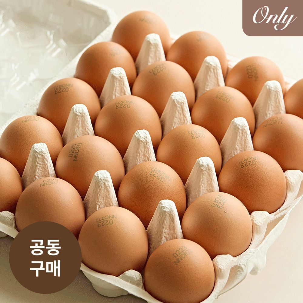 [2차앵콜] 농장직송! 난각번호 1번 ‘대흥농장‘의 동물복지 유정란 (특~대,20구)  