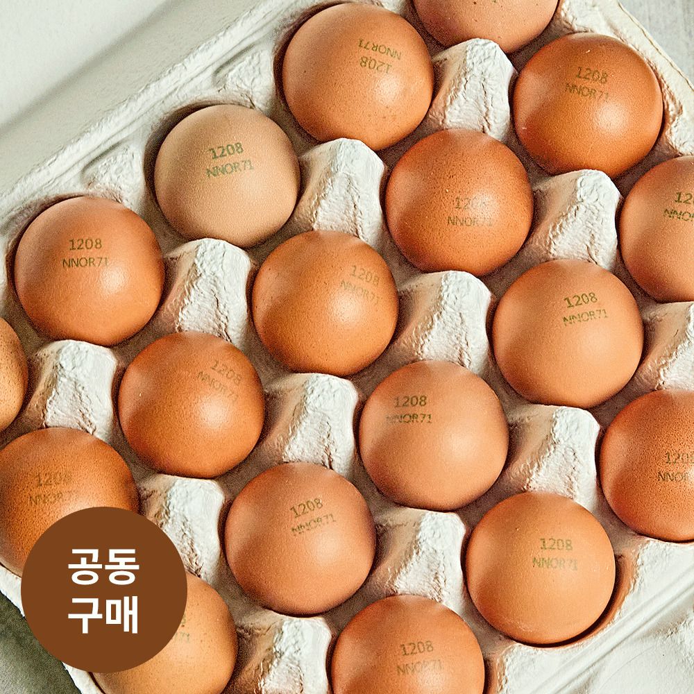 [단독공구] 농장직배송! 산지직송 난각번호 1번 ‘대흥농장‘의 동물복지 유정란 (특,20구) 
