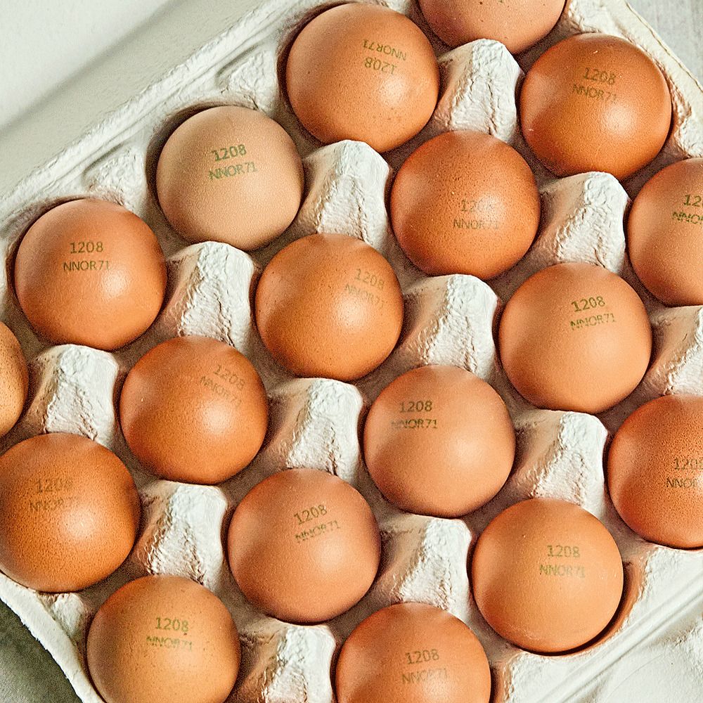 [ONLY] 농장직배송! 산지직송 난각번호 1번 ‘대흥농장‘의 동물복지 유정란 (특~대,20구) 
