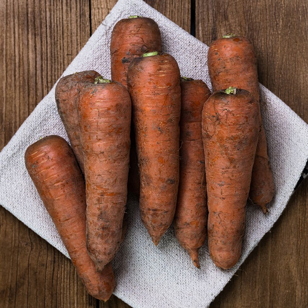 [제주직송] 아삭하고 달콤한 구좌읍 흙당근 특품 2kg