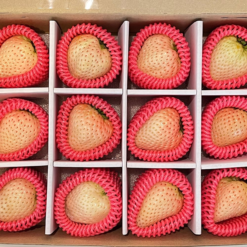 [이색과일선물세트] 흰딸기 선물세트 750g(박스포함) (흰딸기/믹스 구성)