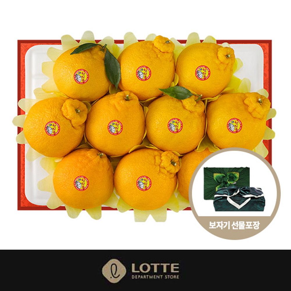 [롯데백화점] 제주특산물 한라봉 선물세트 2호 [3kg/10-12과]