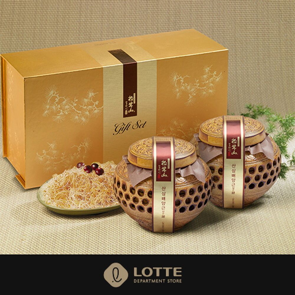 [롯데백화점] 산삼배양근 담은꿀(도자기) 600g×2