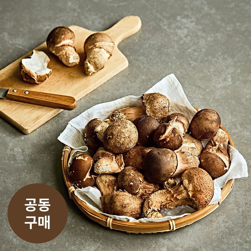 깊고 진한 향이 살아있는, 정성껏 선별한 국내산 참송이버섯